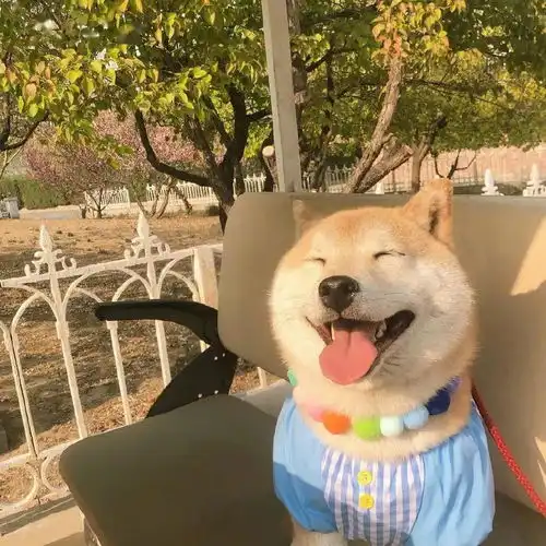 六一必备的100张超萌头像,换上你就是最可爱的崽