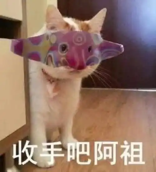合法但有病的发疯小猫表情包