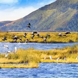 使命召唤ii雨林任务感受旷世秘境,就在雨林穿越