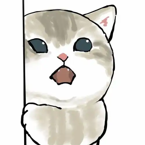 打工猫的一天,也太可爱了