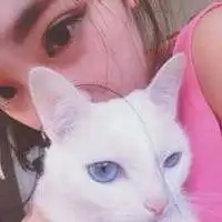 女生和两个猫咪头像