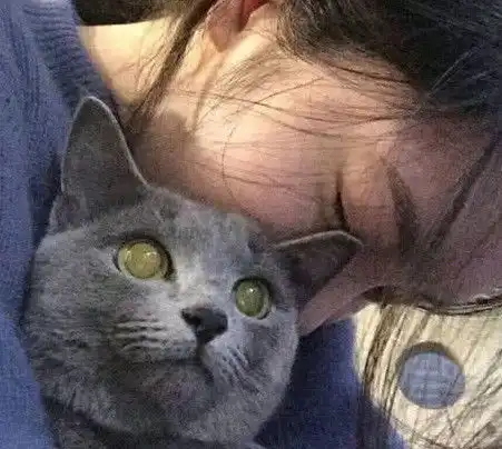 动漫女抱着一只猫头像