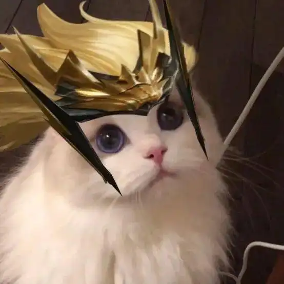 猫系动漫头像男黑色背景