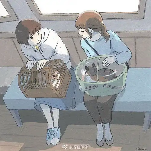 非诚勿扰活动回顾
