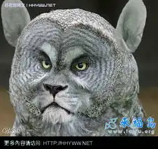 动物图片奇怪的动物