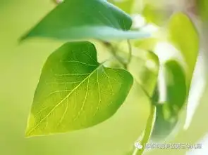 写给焦虑的父母们