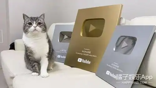6亿播放量世界上观看次数最多的猫长啥样