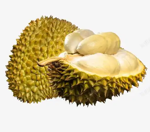 剥开的榴莲高清素材页面网页平面电商创意素材png素材素材